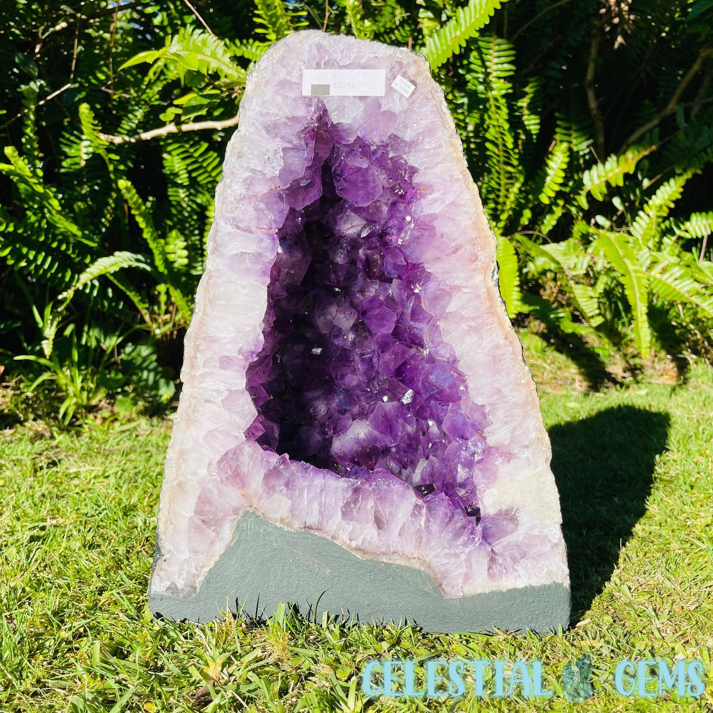 Amethyst Large Geode Cave (Video)