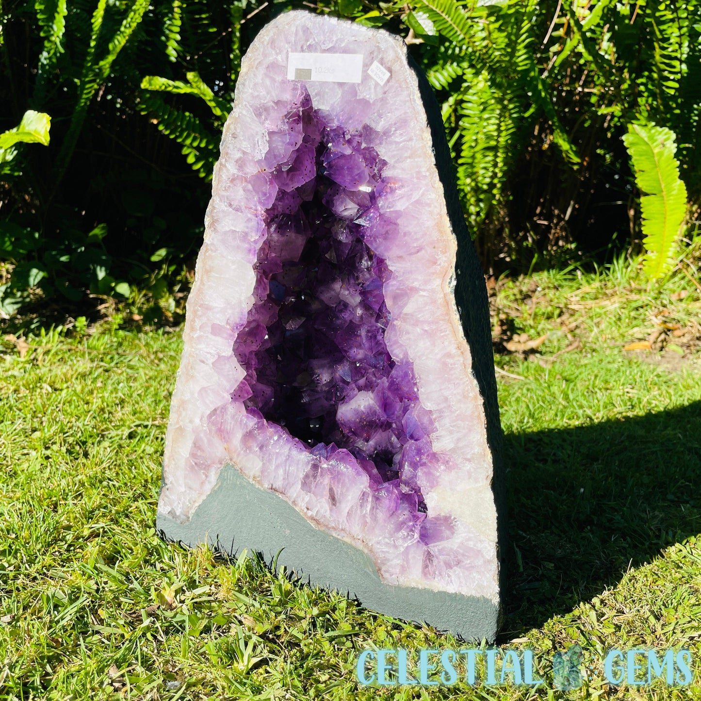 Amethyst Large Geode Cave (Video)