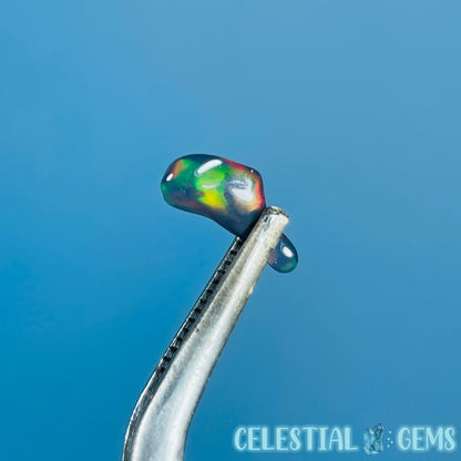 AAA Ethiopian Black 'Fire' Welo Opal Polished Tiny Crystal in Specimen Pottle (Video)