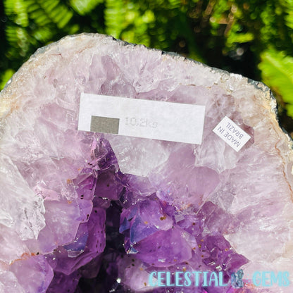 Amethyst Large Geode Cave (Video)