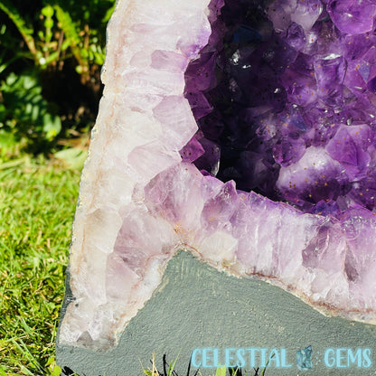 Amethyst Large Geode Cave (Video)