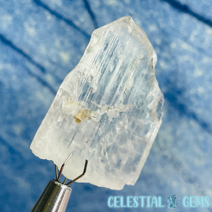 Kunzite (Spodumene) Small Crystal Specimen K
