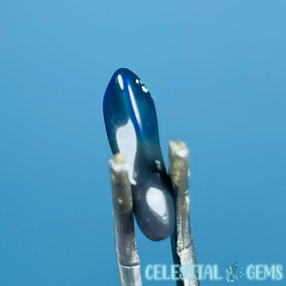 AAA Ethiopian Black 'Fire' Welo Opal Polished Tiny Crystal in Specimen Pottle (Video)