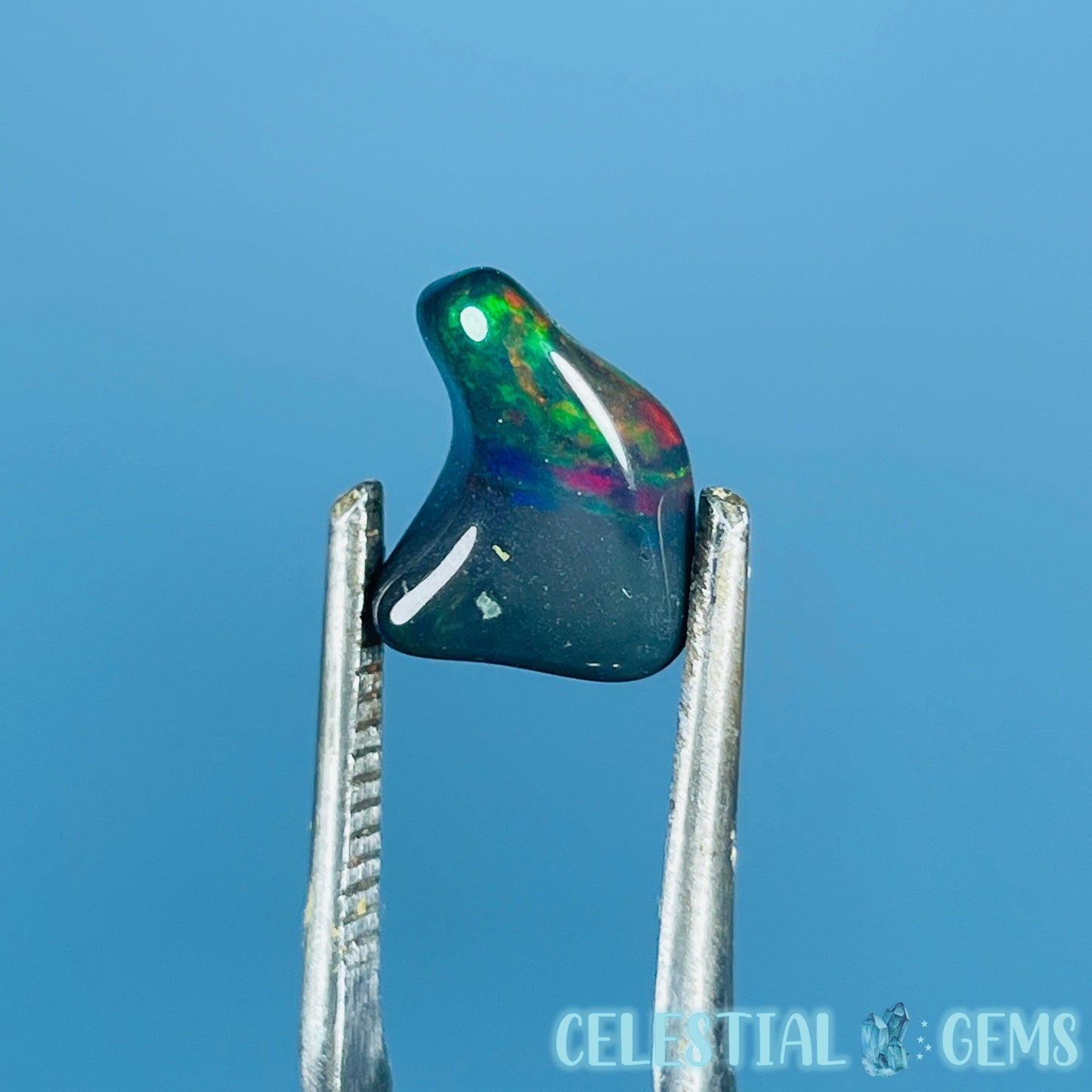 AAA Ethiopian Black 'Fire' Welo Opal Polished Mini Crystal in Specimen Pottle (Video)