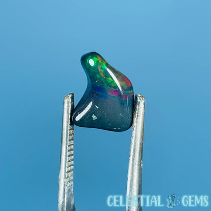 AAA Ethiopian Black 'Fire' Welo Opal Polished Mini Crystal in Specimen Pottle (Video)