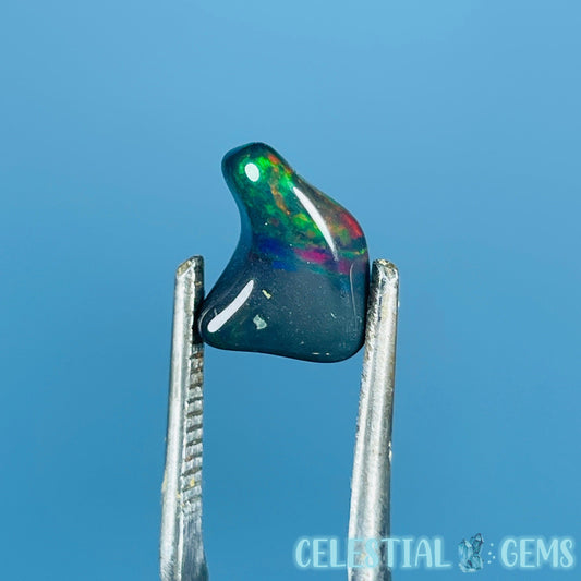 AAA Ethiopian Black 'Fire' Welo Opal Polished Mini Crystal in Specimen Pottle (Video)