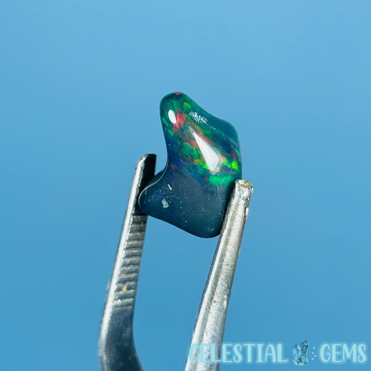 AAA Ethiopian Black 'Fire' Welo Opal Polished Mini Crystal in Specimen Pottle (Video)