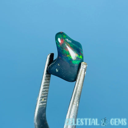 AAA Ethiopian Black 'Fire' Welo Opal Polished Mini Crystal in Specimen Pottle (Video)