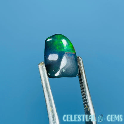 AAA Ethiopian Black 'Fire' Welo Opal Polished Mini Crystal in Specimen Pottle (Video)