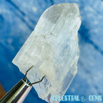 Kunzite (Spodumene) Small Crystal Specimen M