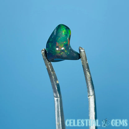 AAA Ethiopian Black 'Fire' Welo Opal Polished Mini Crystal in Specimen Pottle (Video)