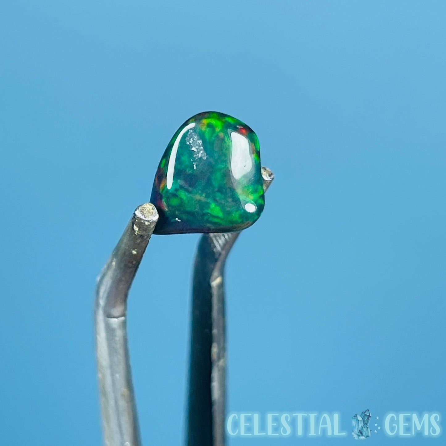 AAA Ethiopian Black 'Fire' Welo Opal Polished Mini Crystal in Specimen Pottle (Video)