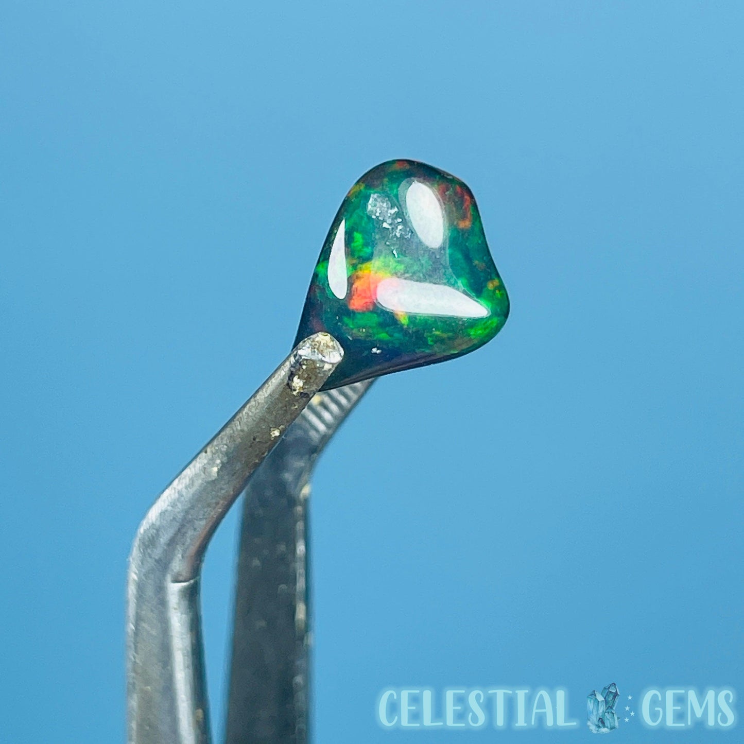 AAA Ethiopian Black 'Fire' Welo Opal Polished Mini Crystal in Specimen Pottle (Video)