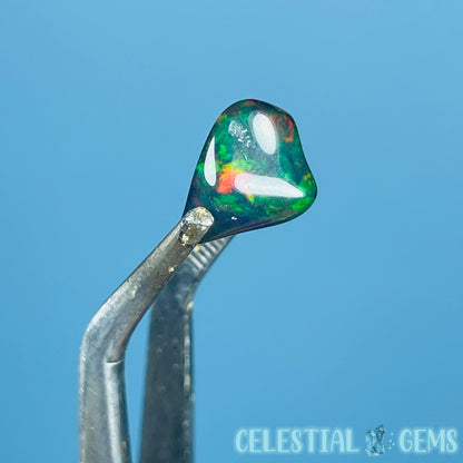 AAA Ethiopian Black 'Fire' Welo Opal Polished Mini Crystal in Specimen Pottle (Video)