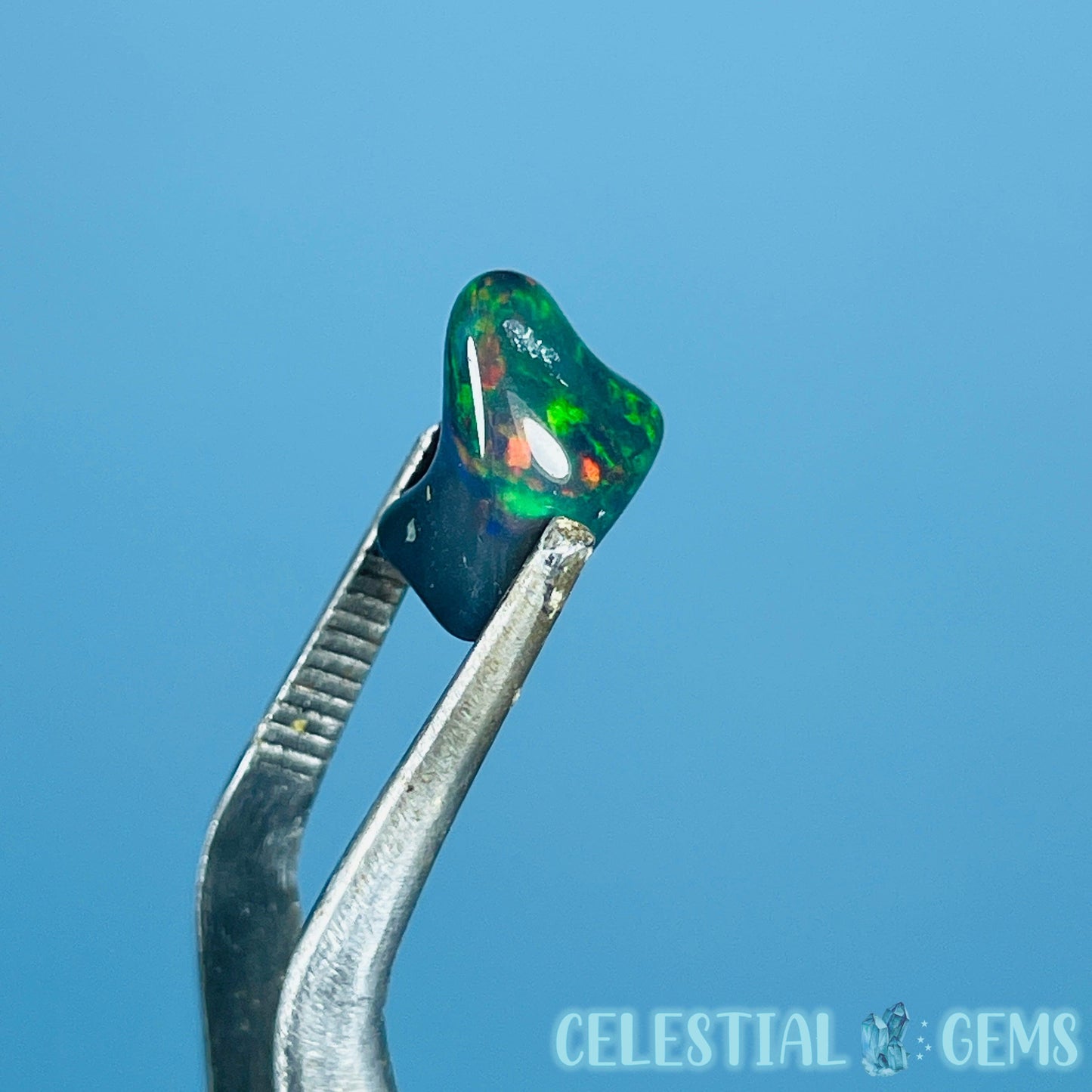 AAA Ethiopian Black 'Fire' Welo Opal Polished Mini Crystal in Specimen Pottle (Video)