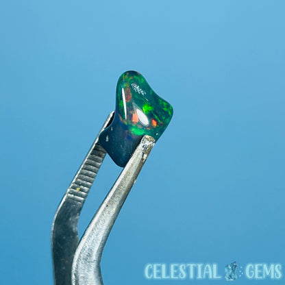 AAA Ethiopian Black 'Fire' Welo Opal Polished Mini Crystal in Specimen Pottle (Video)