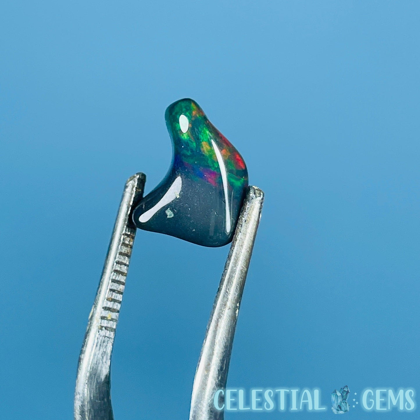 AAA Ethiopian Black 'Fire' Welo Opal Polished Mini Crystal in Specimen Pottle (Video)