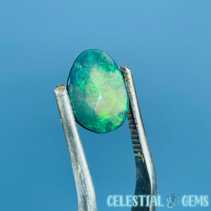 AAA Rosecut Ethiopian Black 'Fire' Welo Opal Polished Mini Crystal in Specimen Pottle (Video)