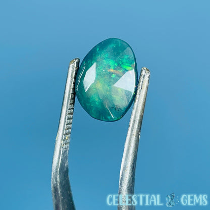 AAA Rosecut Ethiopian Black 'Fire' Welo Opal Polished Mini Crystal in Specimen Pottle (Video)