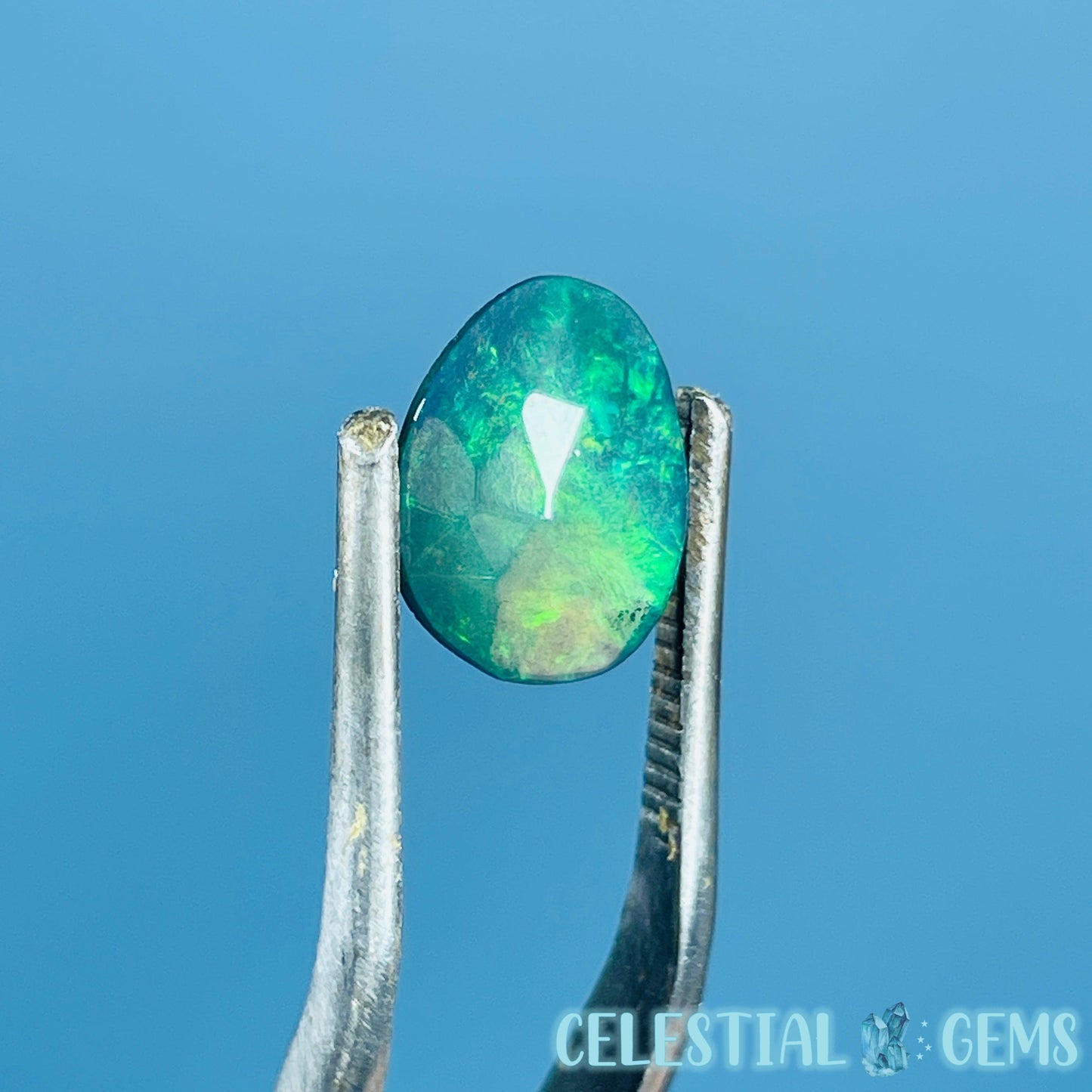 AAA Rosecut Ethiopian Black 'Fire' Welo Opal Polished Mini Crystal in Specimen Pottle (Video)