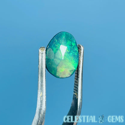 AAA Rosecut Ethiopian Black 'Fire' Welo Opal Polished Mini Crystal in Specimen Pottle (Video)