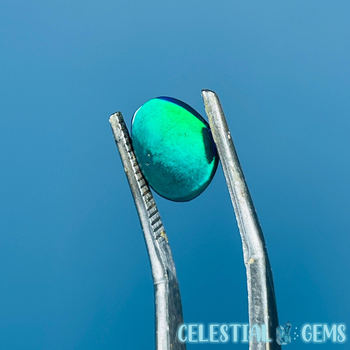 AAA Rosecut Ethiopian Black 'Fire' Welo Opal Polished Mini Crystal in Specimen Pottle (Video)