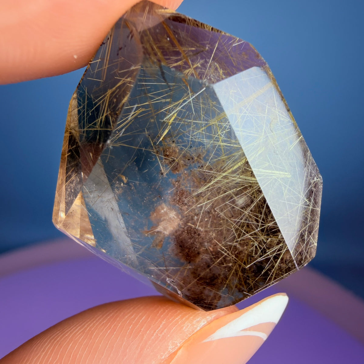 Gold Rutile Smoky Garden Quartz Small Freeform