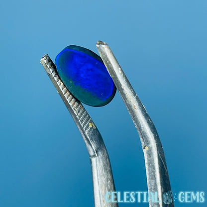 AAA Rosecut Ethiopian Black 'Fire' Welo Opal Polished Mini Crystal in Specimen Pottle (Video)