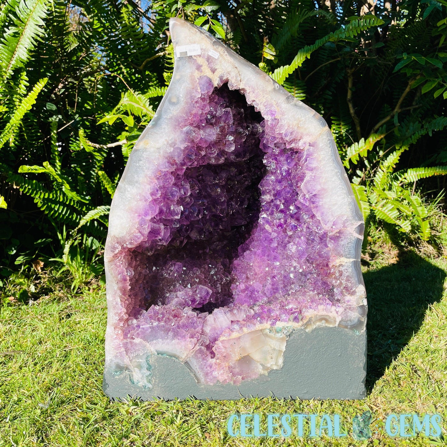 Dark Amethyst Extra Large Geode Cave (Video)