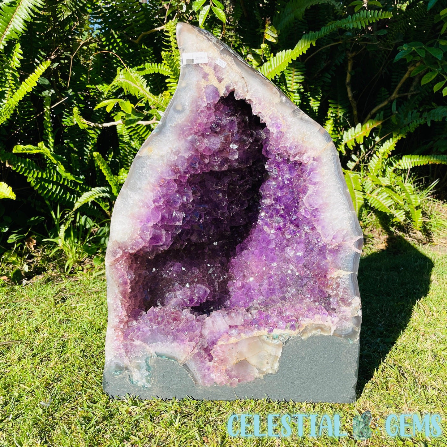 Dark Amethyst Extra Large Geode Cave (Video)