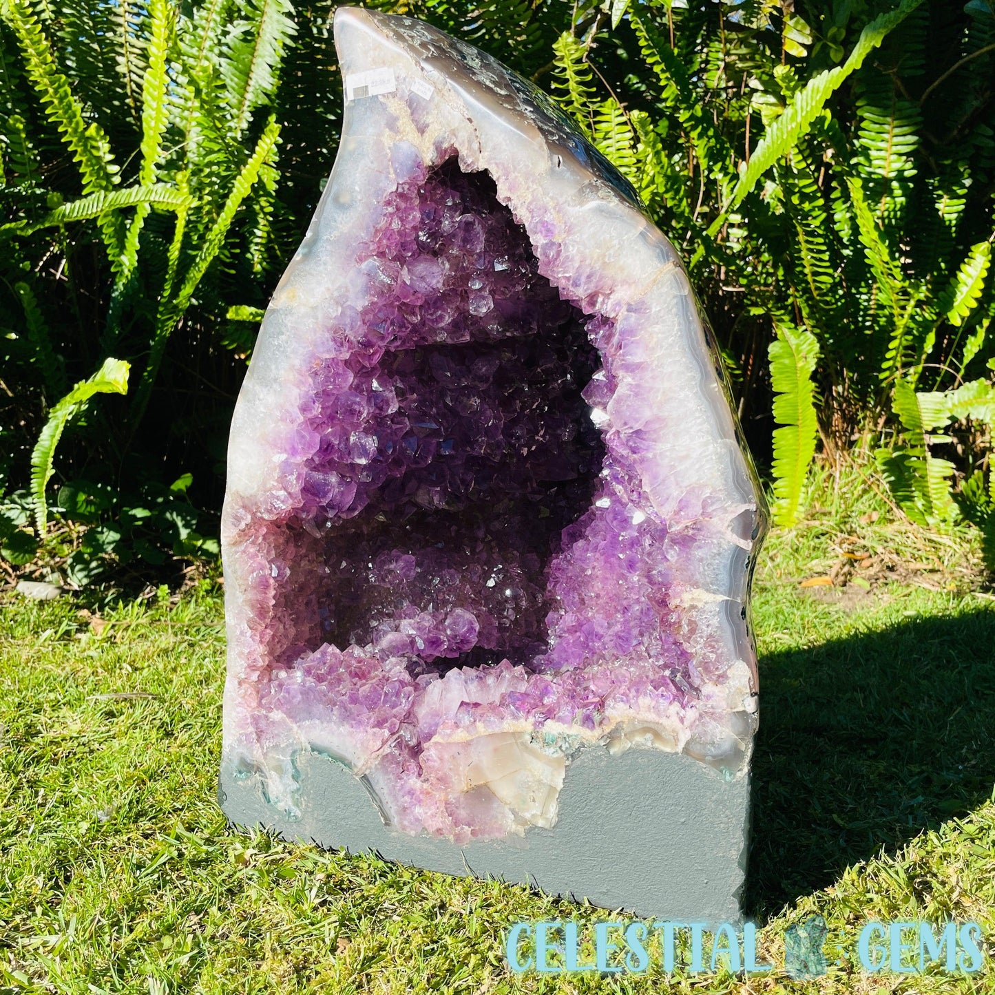 Dark Amethyst Extra Large Geode Cave (Video)