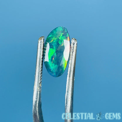 AAA Rosecut Ethiopian Black 'Fire' Welo Opal Polished Mini Crystal in Specimen Pottle (Video)