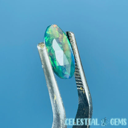 AAA Rosecut Ethiopian Black 'Fire' Welo Opal Polished Mini Crystal in Specimen Pottle (Video)