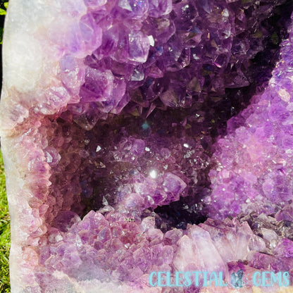 Dark Amethyst Extra Large Geode Cave (Video)