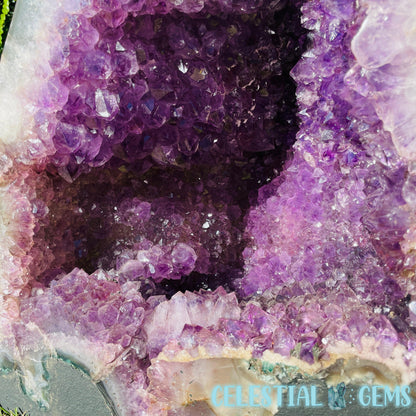 Dark Amethyst Extra Large Geode Cave (Video)