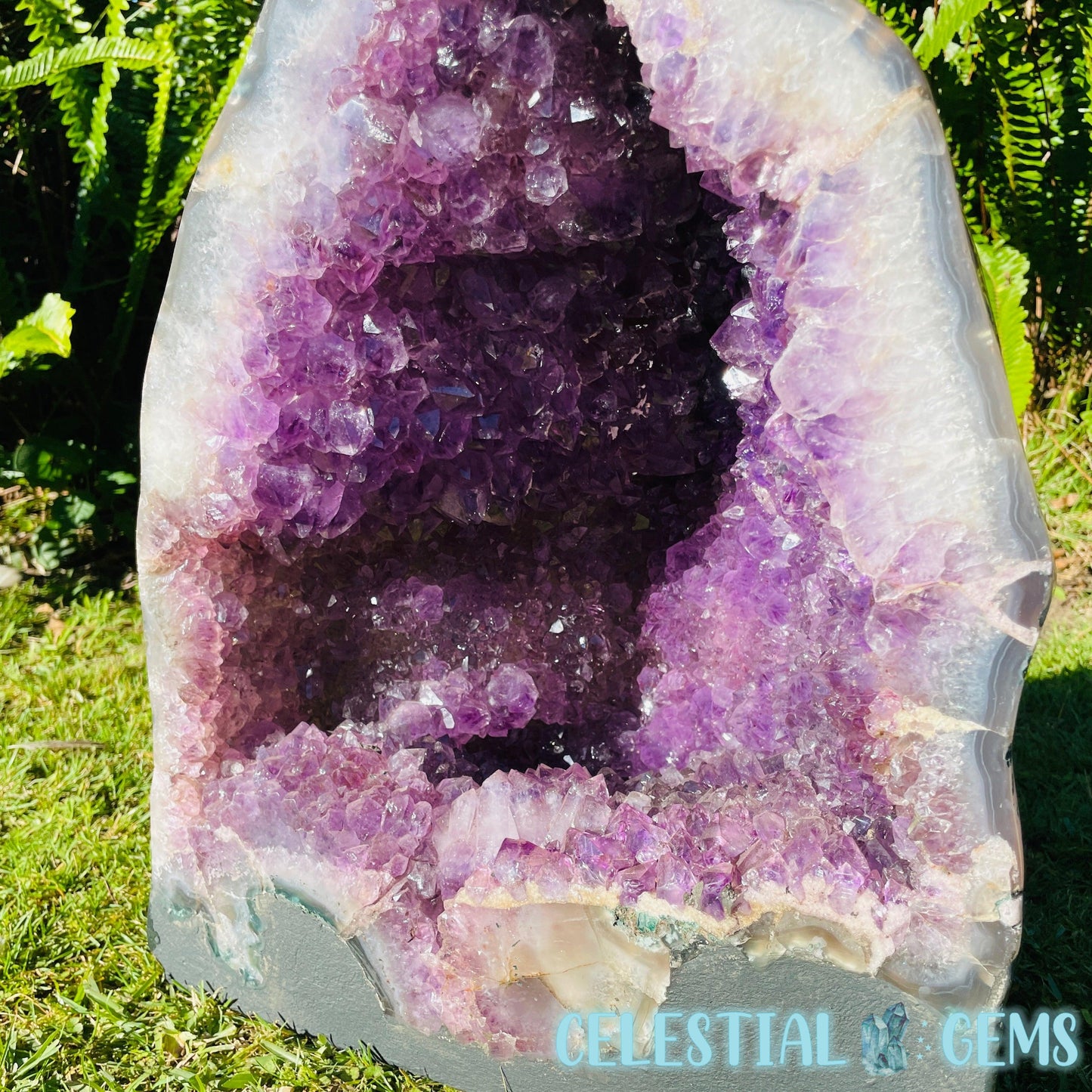 Dark Amethyst Extra Large Geode Cave (Video)