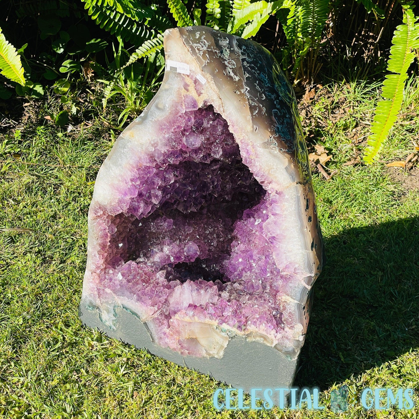 Dark Amethyst Extra Large Geode Cave (Video)