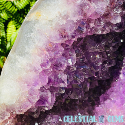 Dark Amethyst Extra Large Geode Cave (Video)