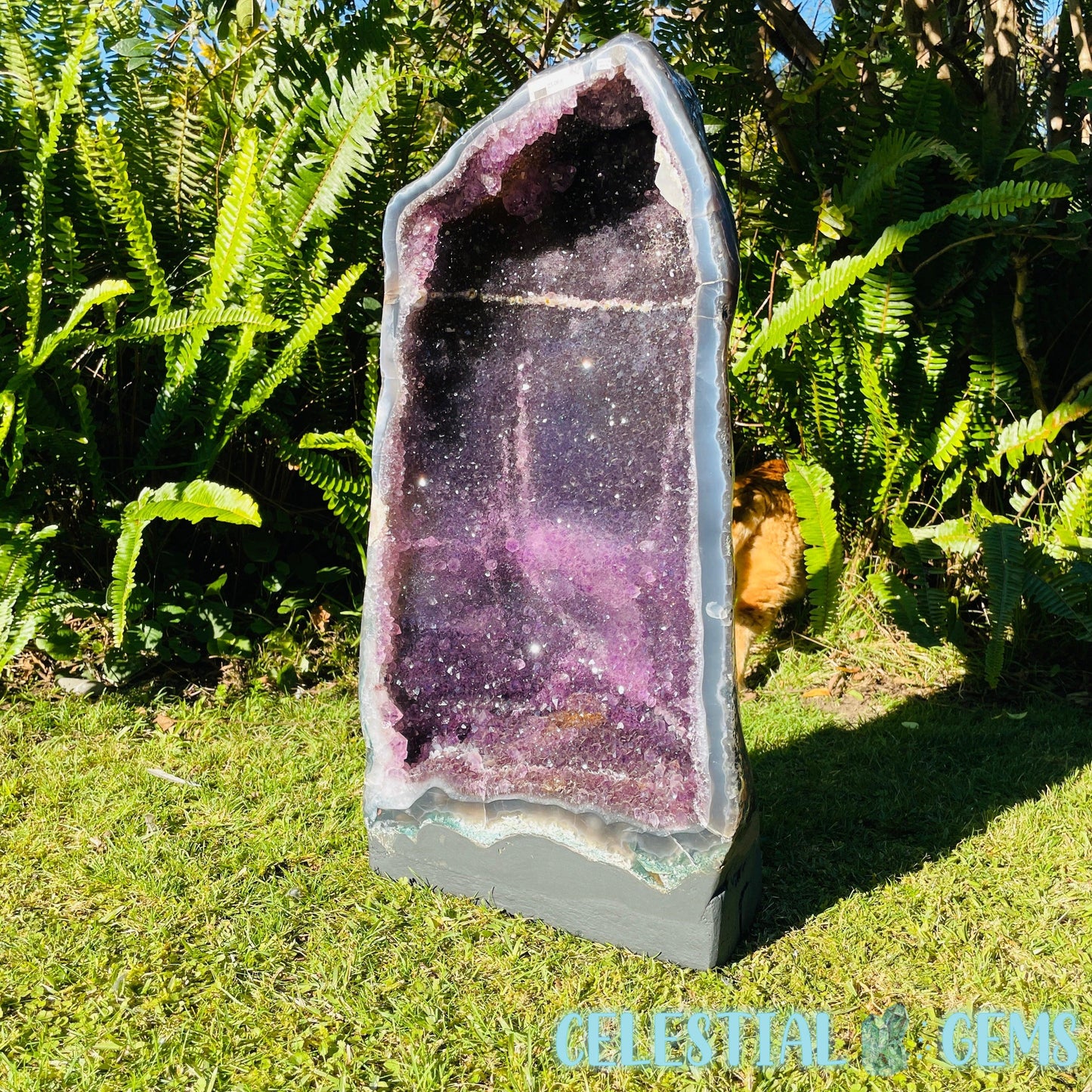 Dark Amethyst Extra Large Geode Cave (Video)