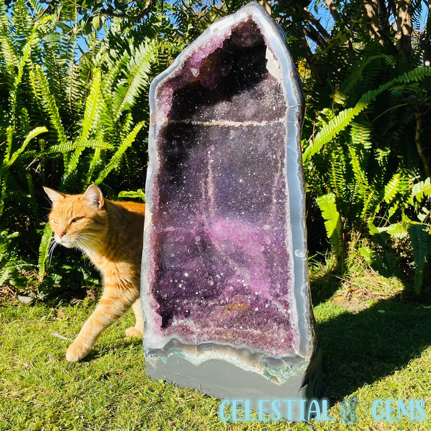 Dark Amethyst Extra Large Geode Cave (Video)