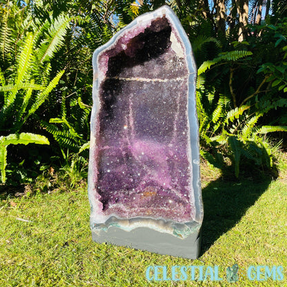 Dark Amethyst Extra Large Geode Cave (Video)