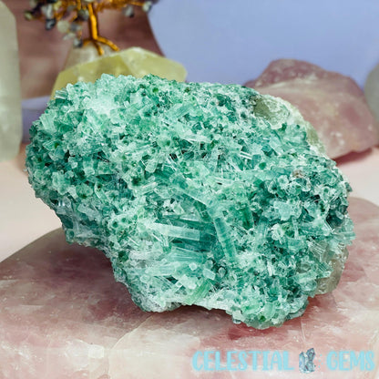 Seafoam Green Verdilite Tourmaline Cluster Specimen on Quartz + Mica (High Grade)