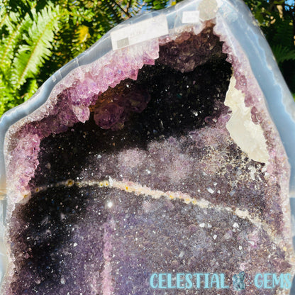 Dark Amethyst Extra Large Geode Cave (Video)