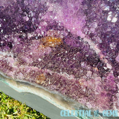 Dark Amethyst Extra Large Geode Cave (Video)