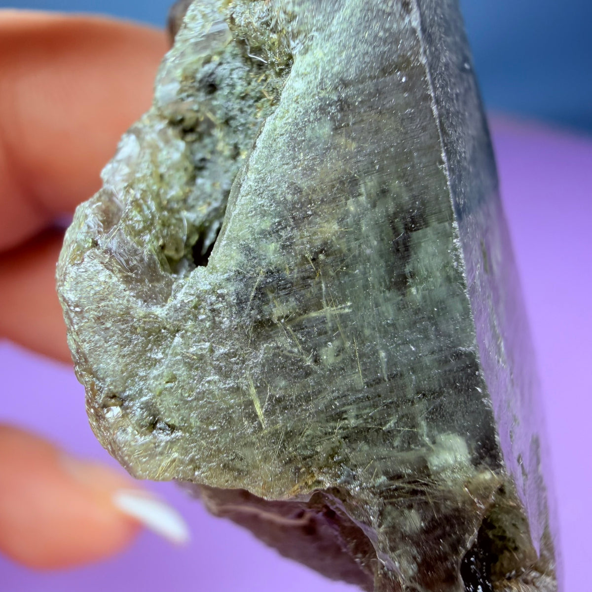 Gold Rutile Chlorite Quartz Raw Piece with Polished Seer Window