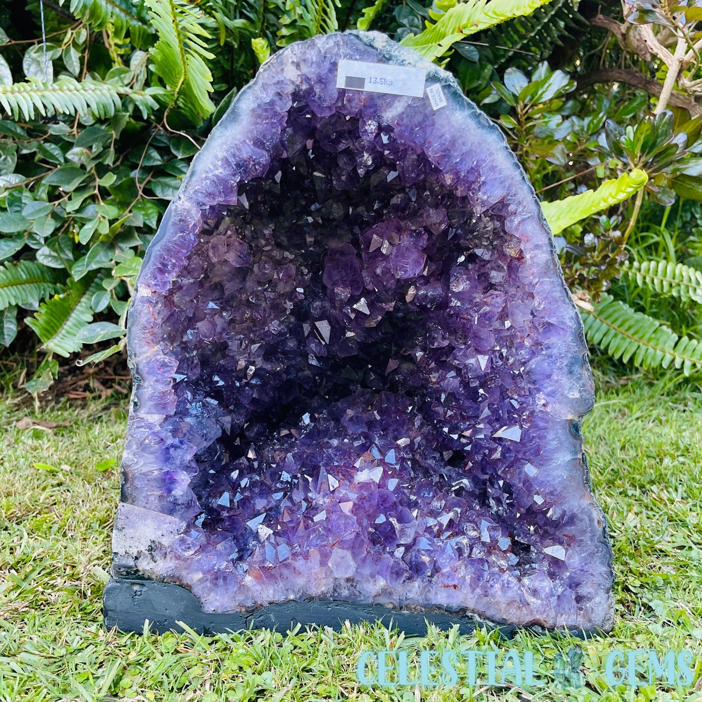 Dark Amethyst Large Geode Cave (Video)