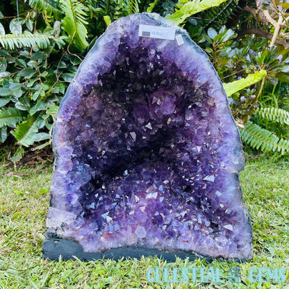 Dark Amethyst Large Geode Cave (Video)