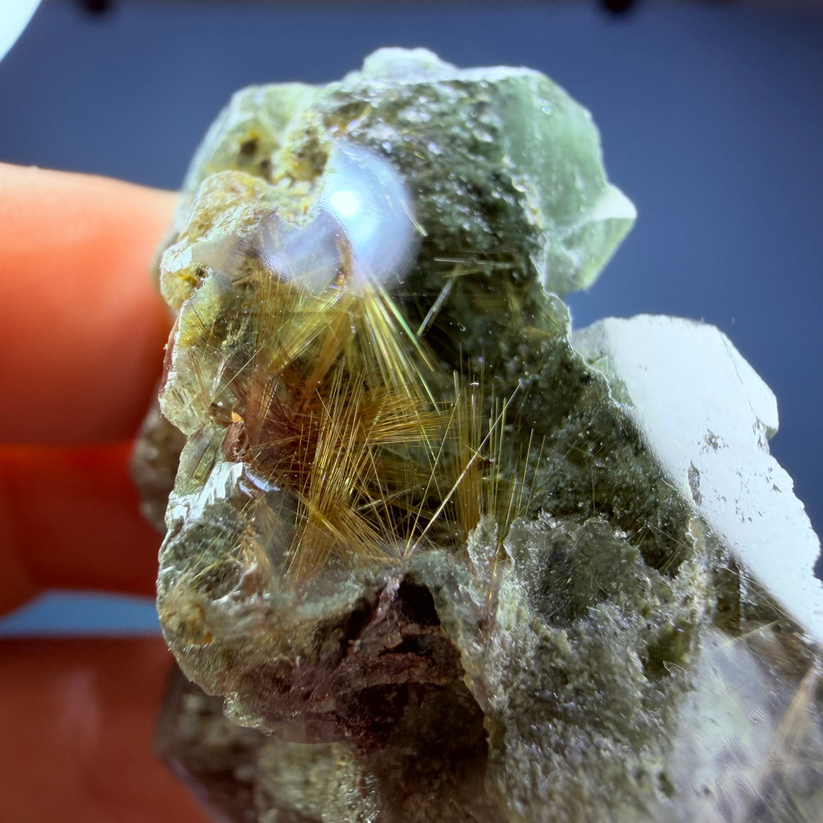 Gold Rutile Chlorite Quartz Raw Piece with Polished Seer Window