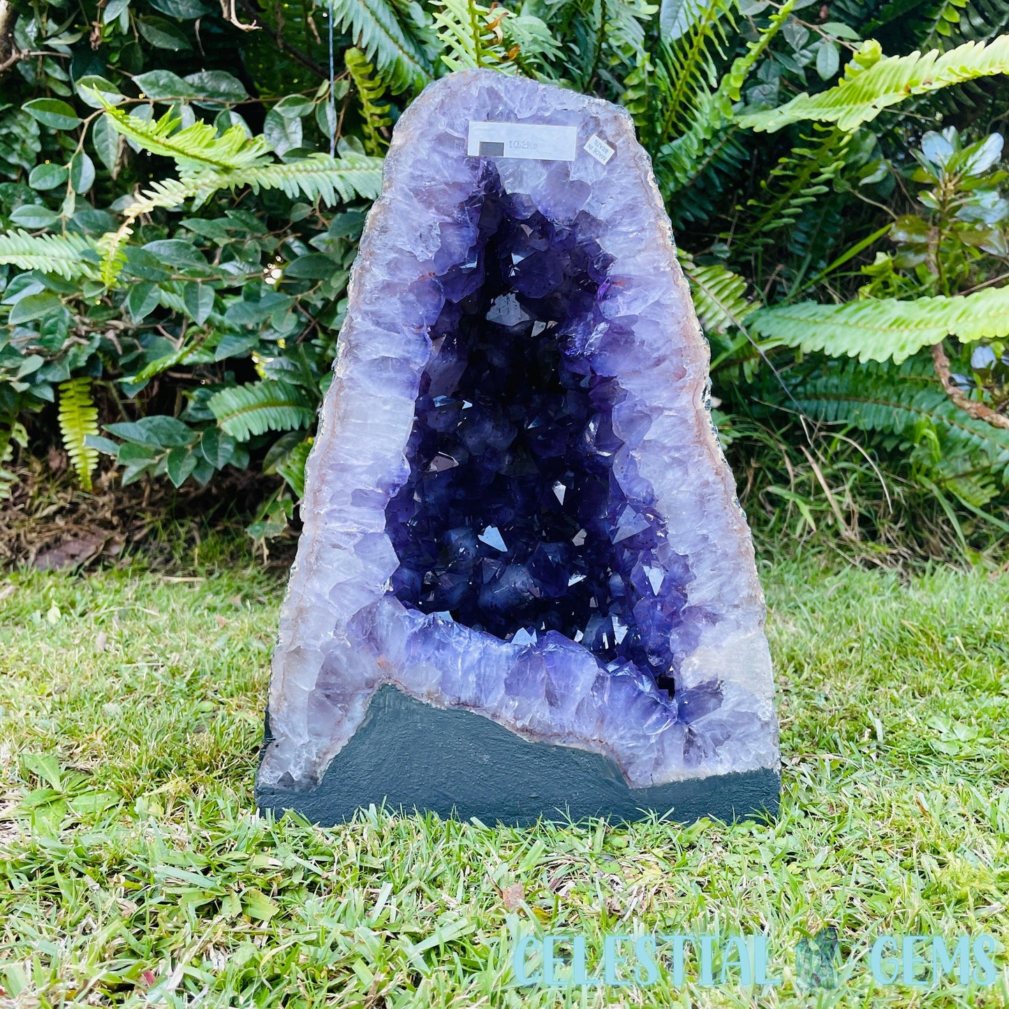 Amethyst Large Geode Cave (Video)