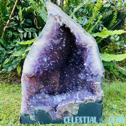 Dark Amethyst Extra Large Geode Cave (Video)